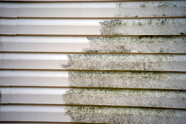 Affordable Siding Repair and Maintenance Services in Morrilton, AR